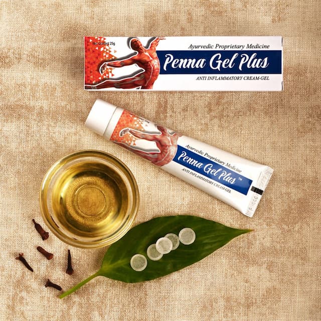 Penna Gel Plus